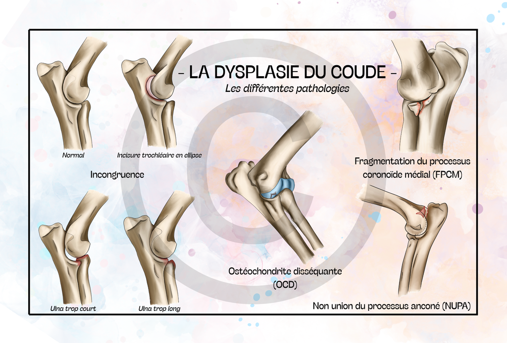 Pack COMPLET - 19 planches