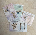 Pack Coude - 4 planches