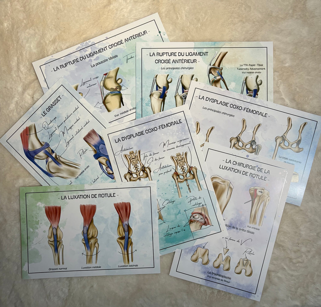 Pack Postérieur - 7 planches
