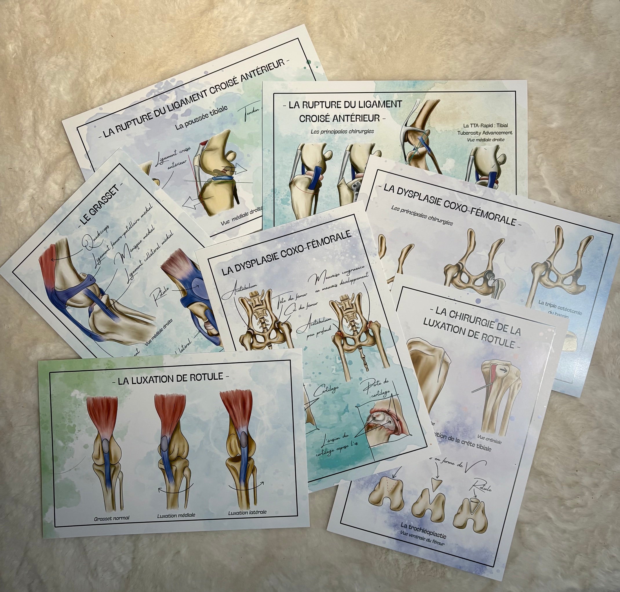 Pack Postérieur - 7 planches