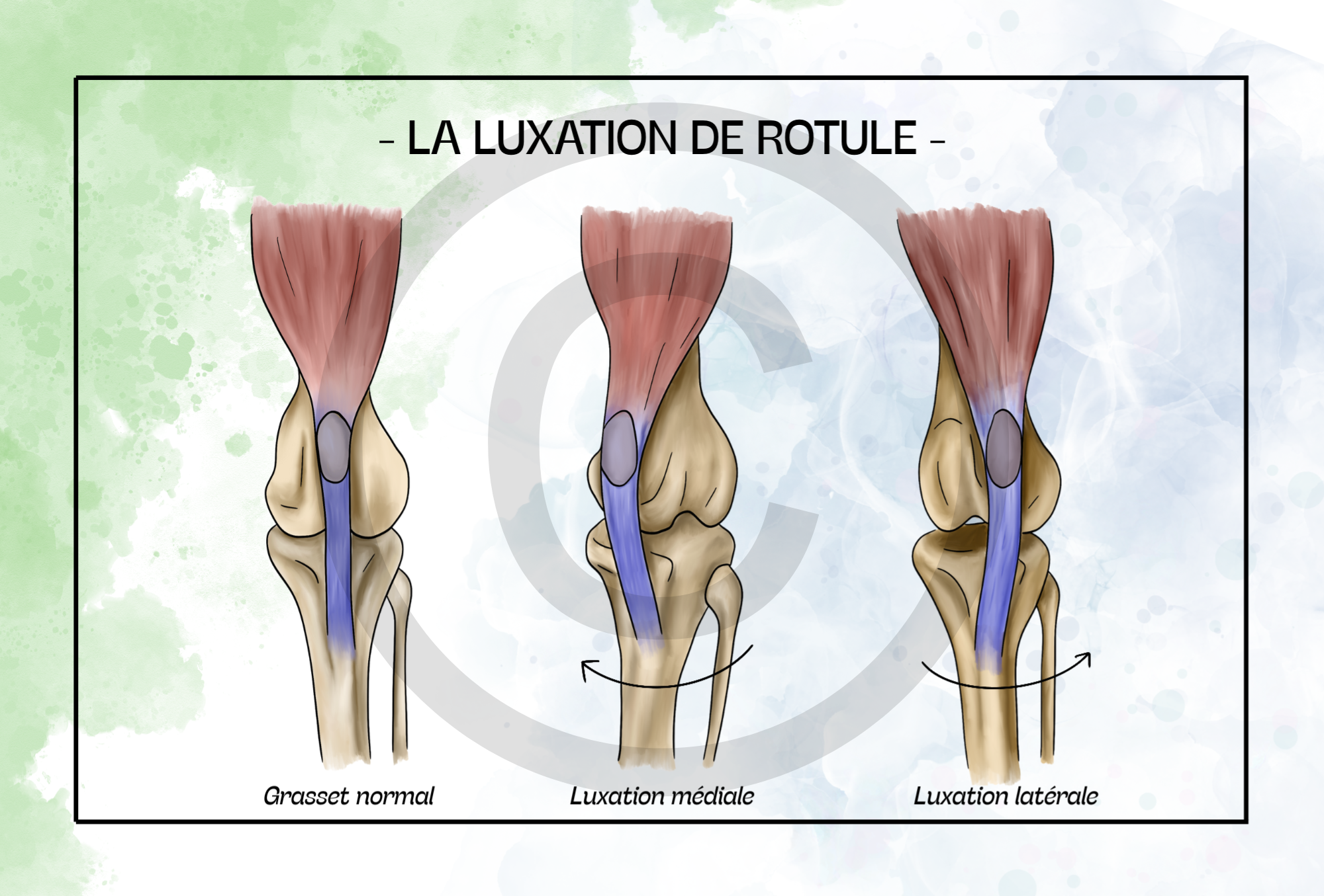 Pack COMPLET - 19 planches