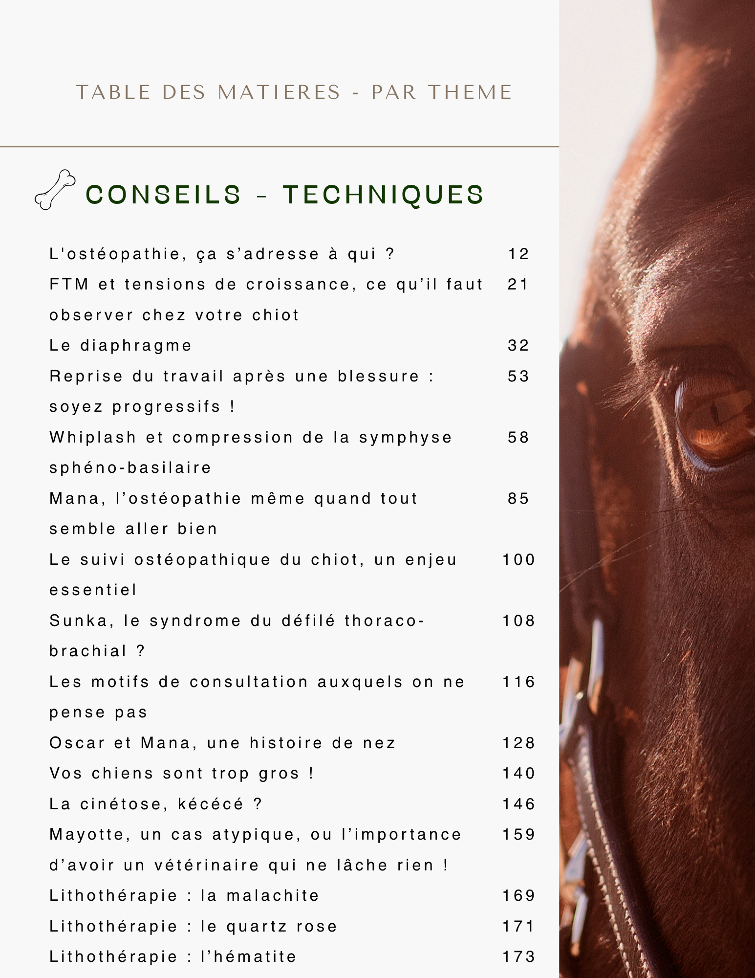 Pré-commande : Livre (papier) "T(h)rust me, I'm an osteopath" - inclut l'ebook
